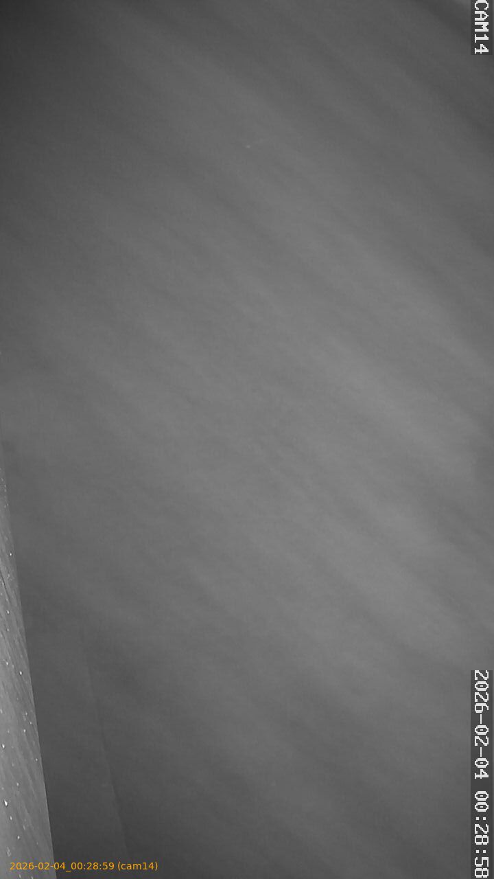 thumbnail_202602040028