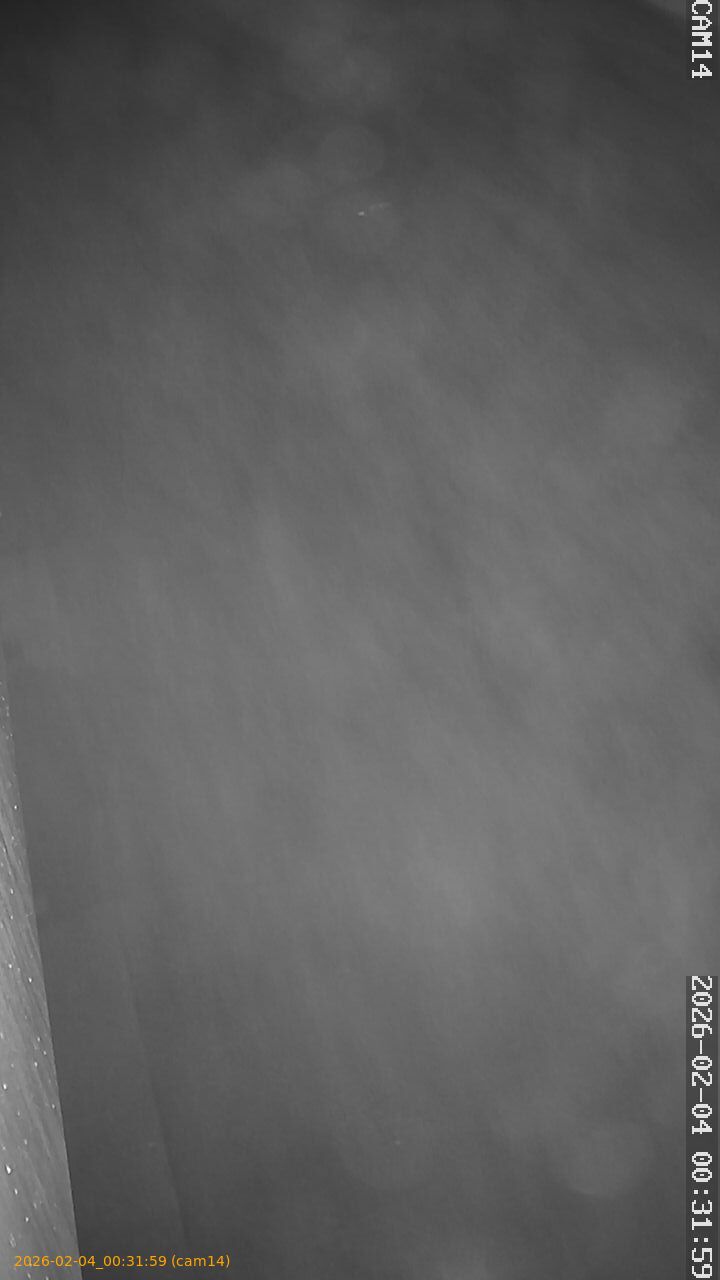 thumbnail_202602040031