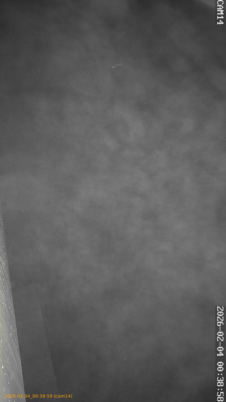 thumbnail_202602040038