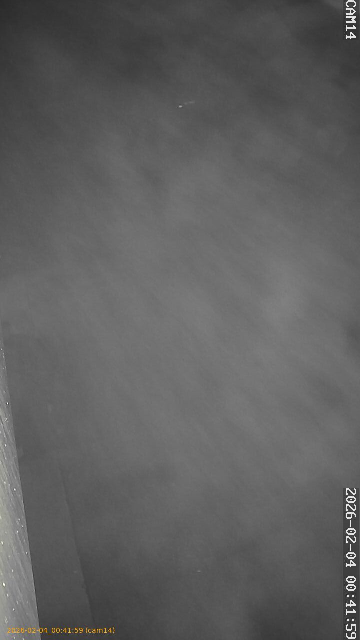 thumbnail_202602040041