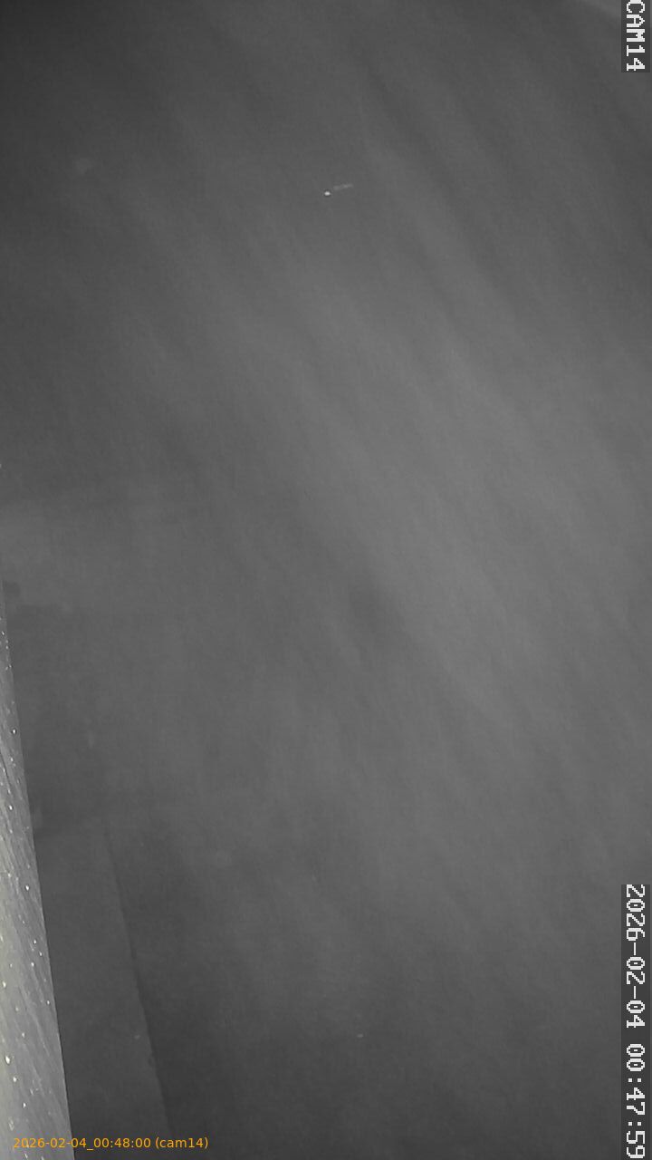 thumbnail_202602040047