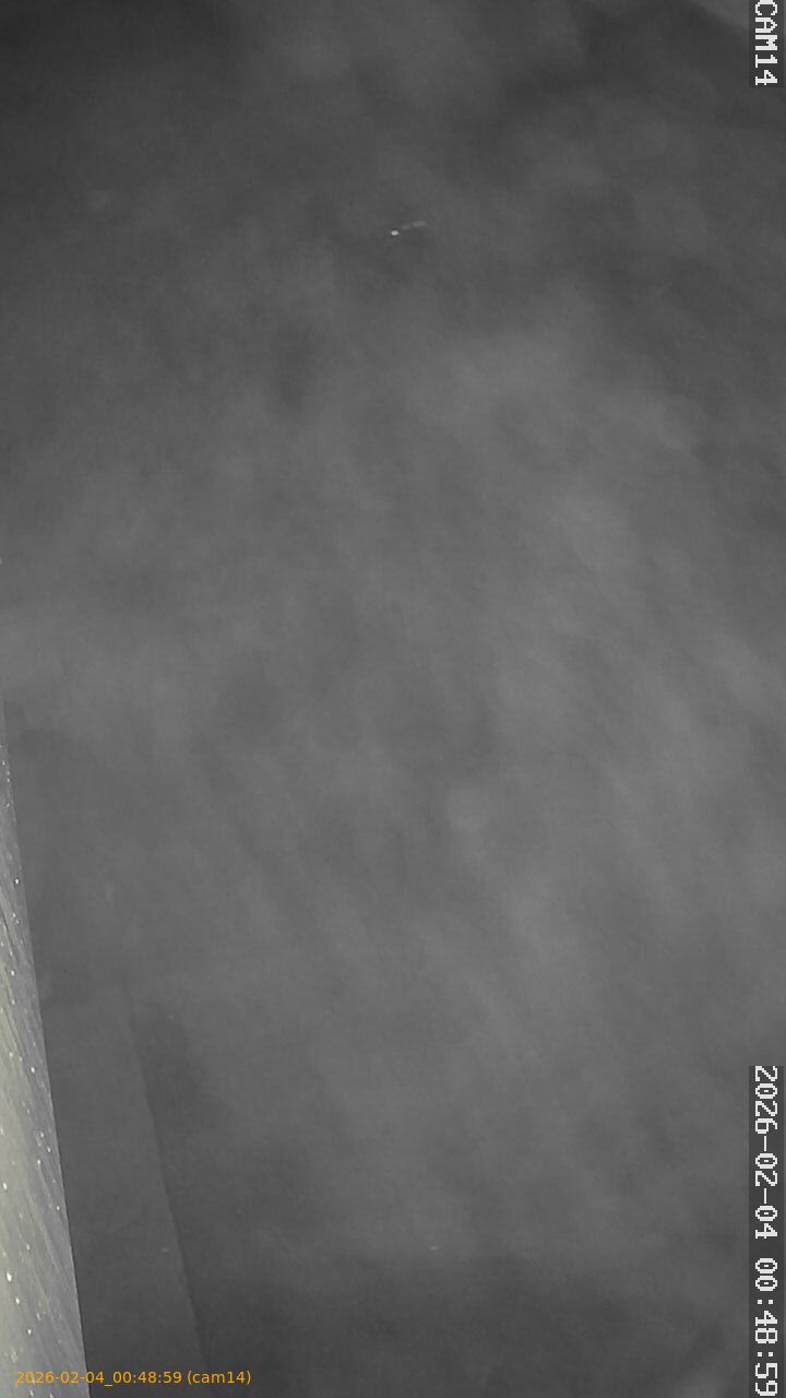 thumbnail_202602040048