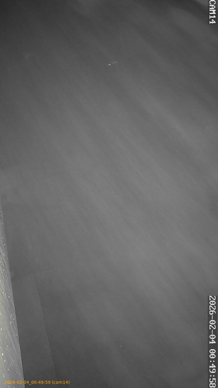 thumbnail_202602040049