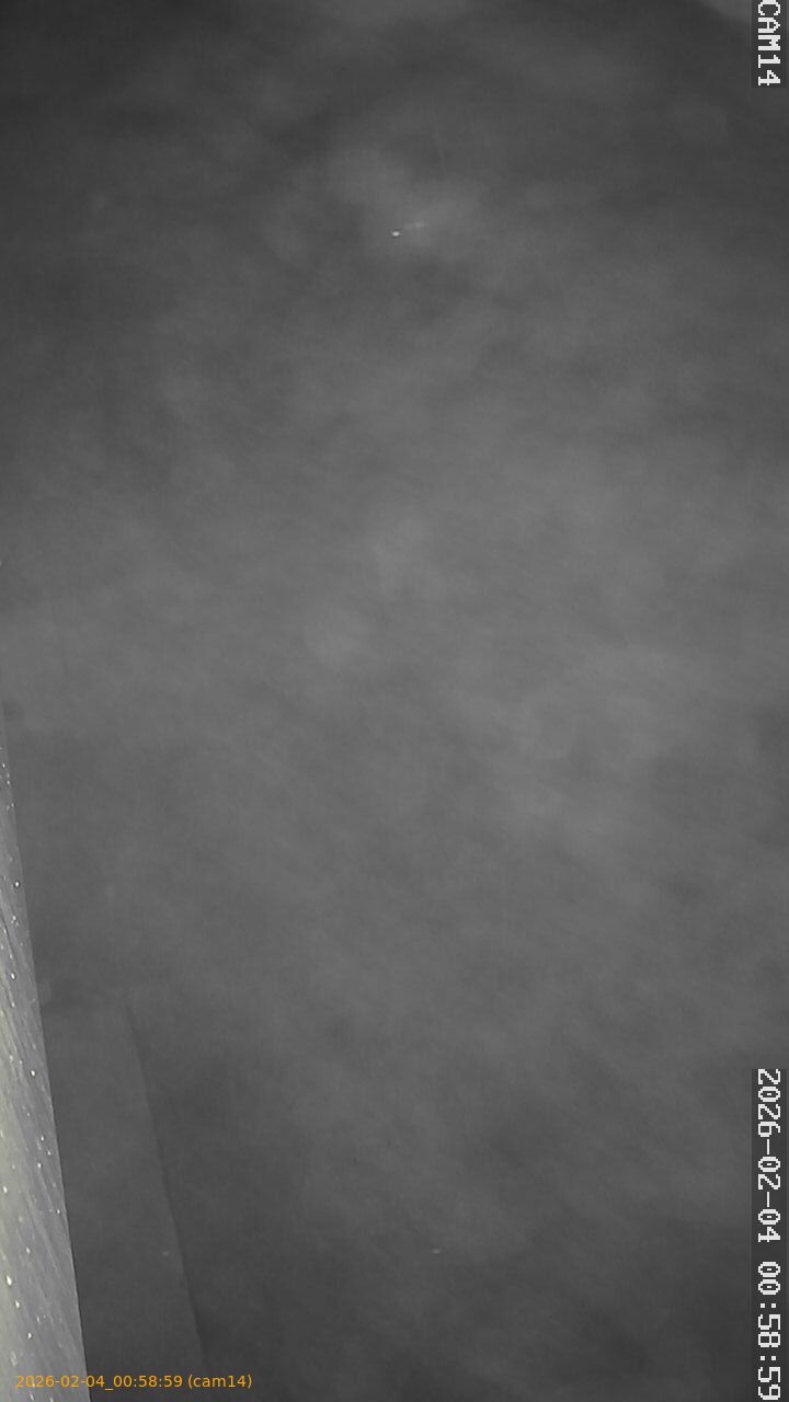 thumbnail_202602040058