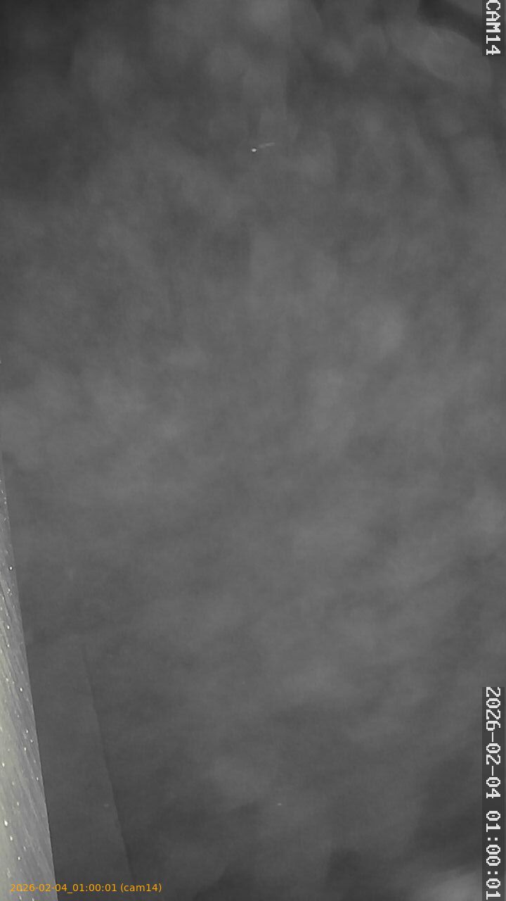 thumbnail_20260204010001