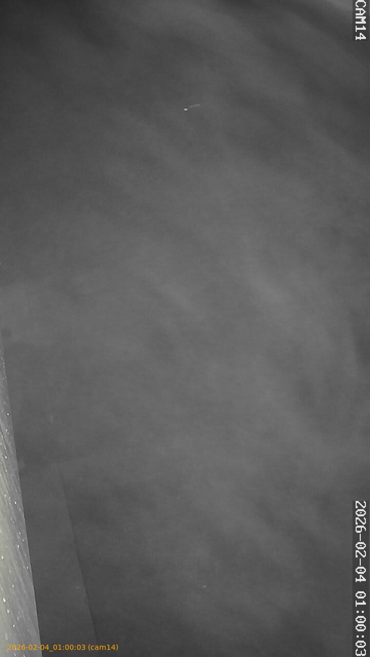 thumbnail_20260204010003