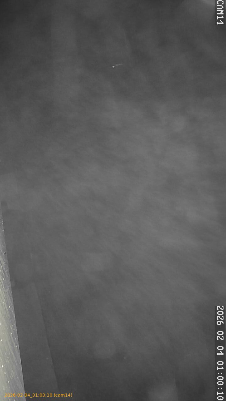 thumbnail_20260204010010