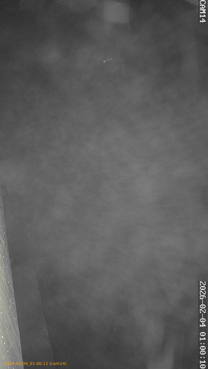 thumbnail_20260204010011