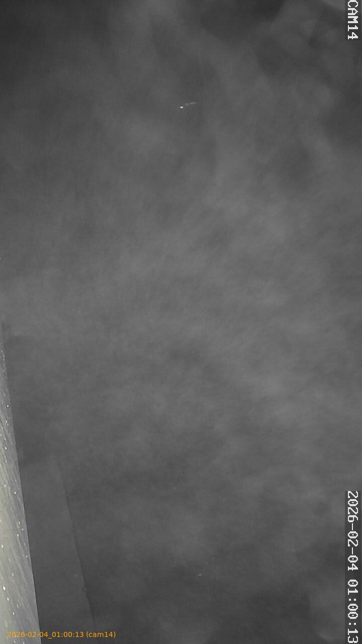 thumbnail_20260204010013