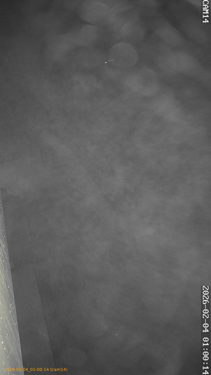 thumbnail_20260204010014