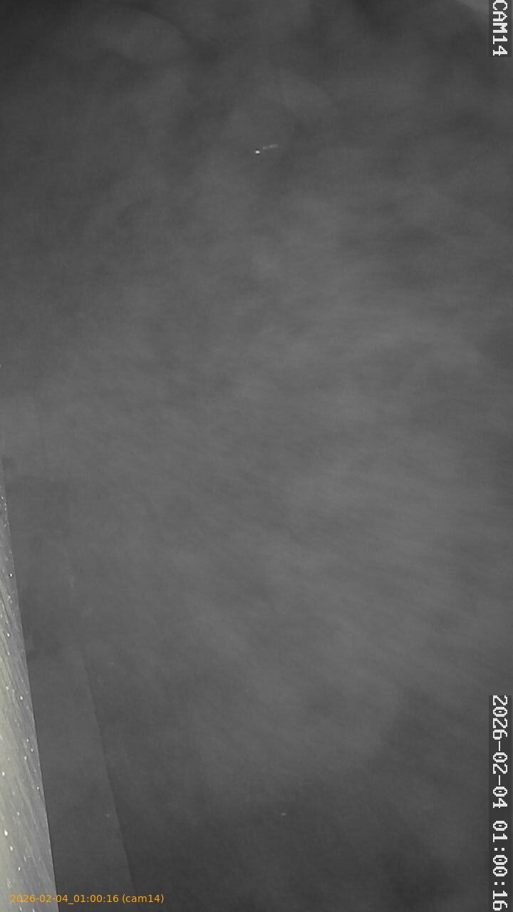 thumbnail_20260204010016