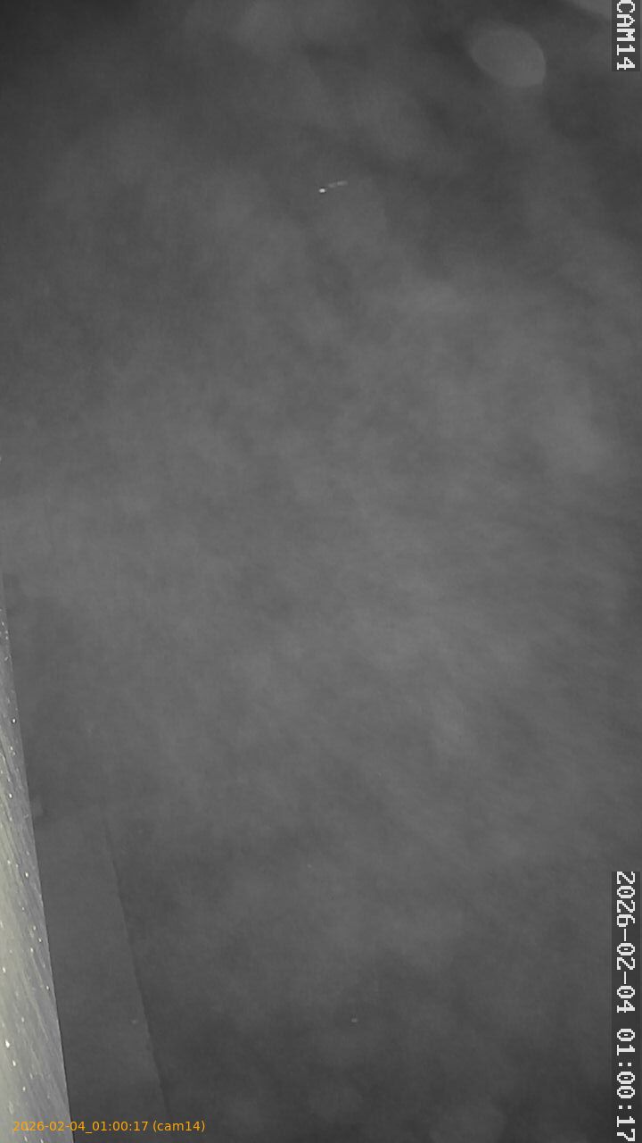 thumbnail_20260204010017