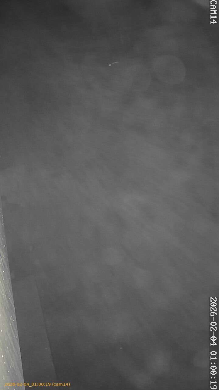 thumbnail_20260204010019