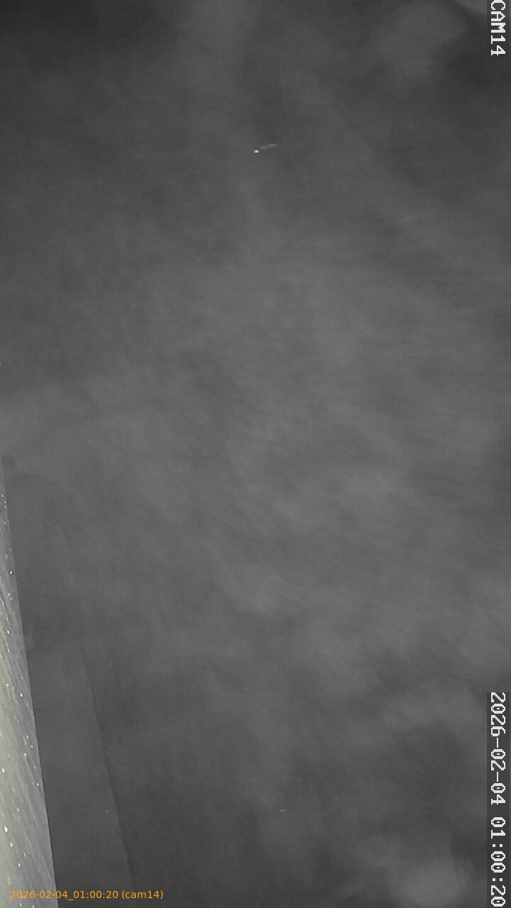 thumbnail_20260204010020