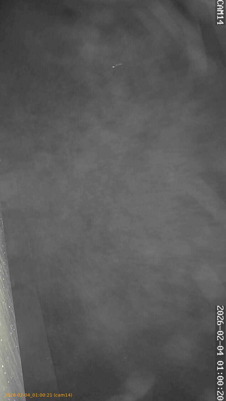 thumbnail_20260204010021