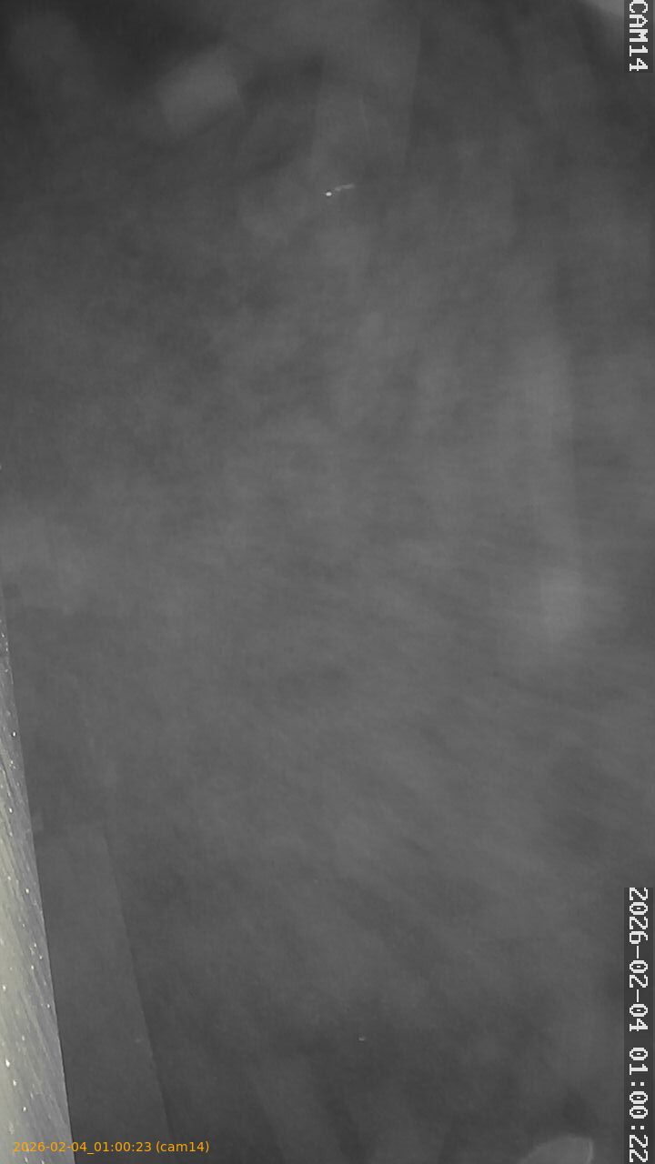 thumbnail_20260204010023