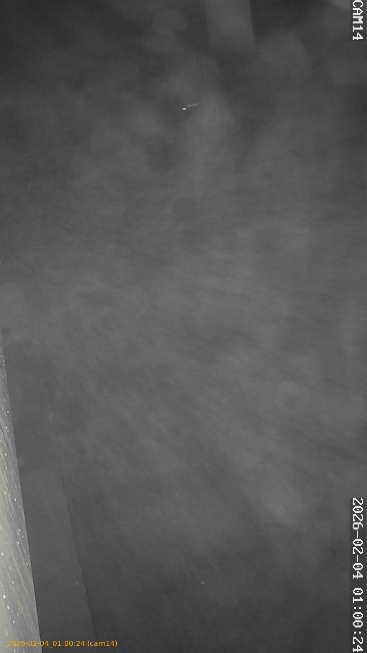 thumbnail_20260204010024