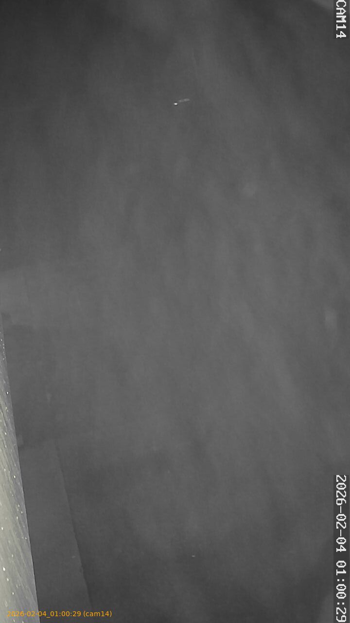 thumbnail_20260204010029