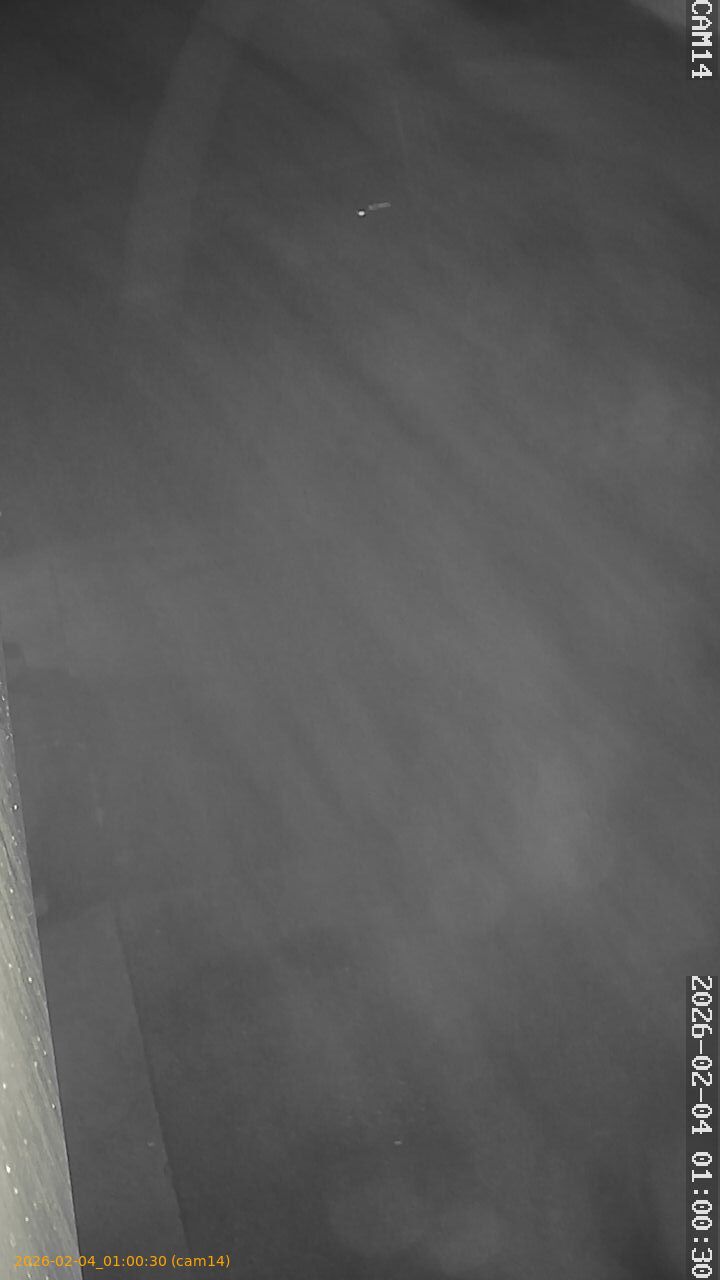 thumbnail_20260204010030