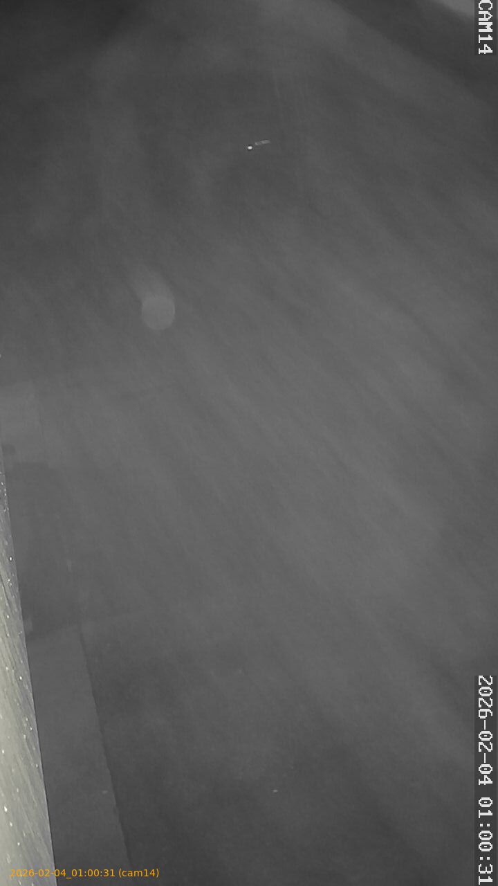 thumbnail_20260204010031