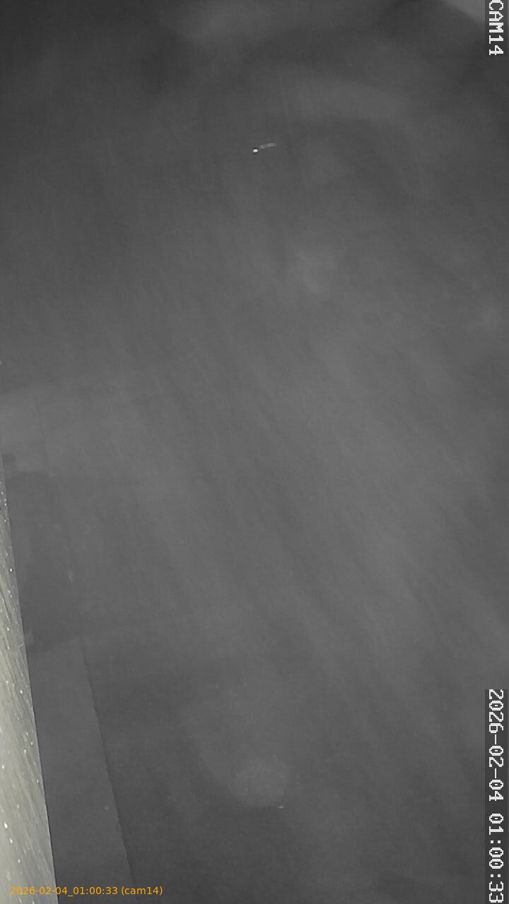 thumbnail_20260204010033