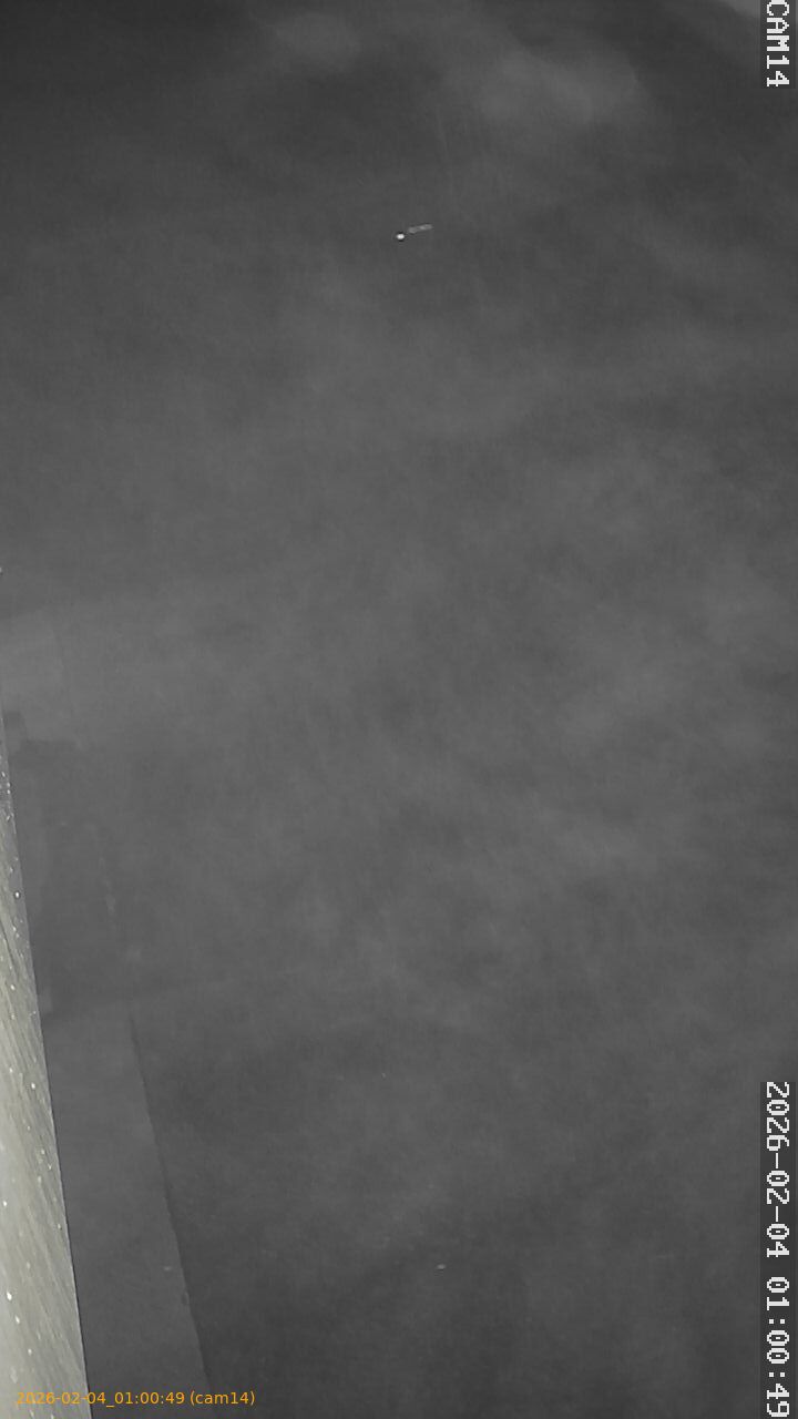 thumbnail_20260204010049