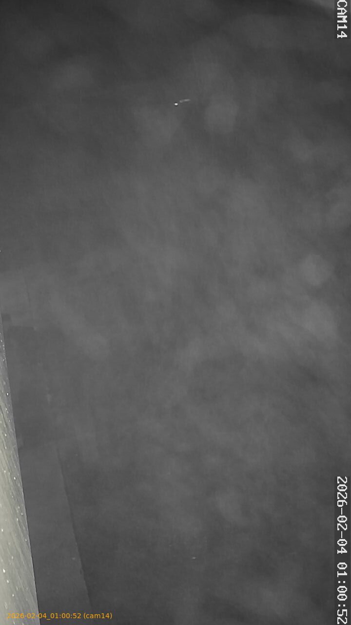 thumbnail_20260204010052