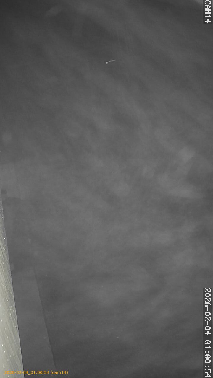 thumbnail_20260204010054