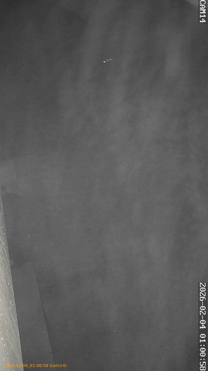 thumbnail_20260204010058