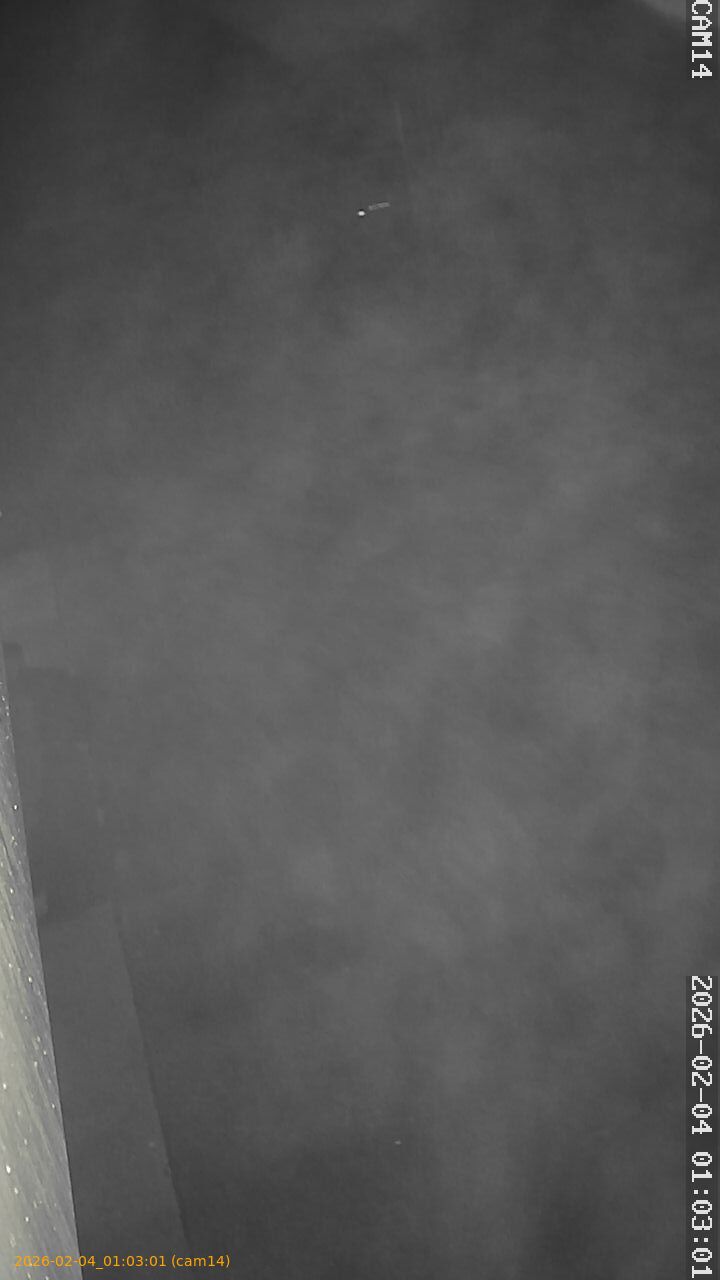 thumbnail_20260204010301