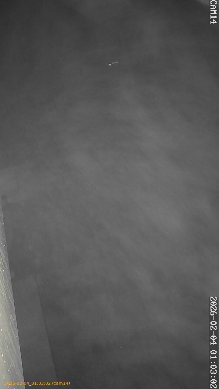 thumbnail_20260204010302