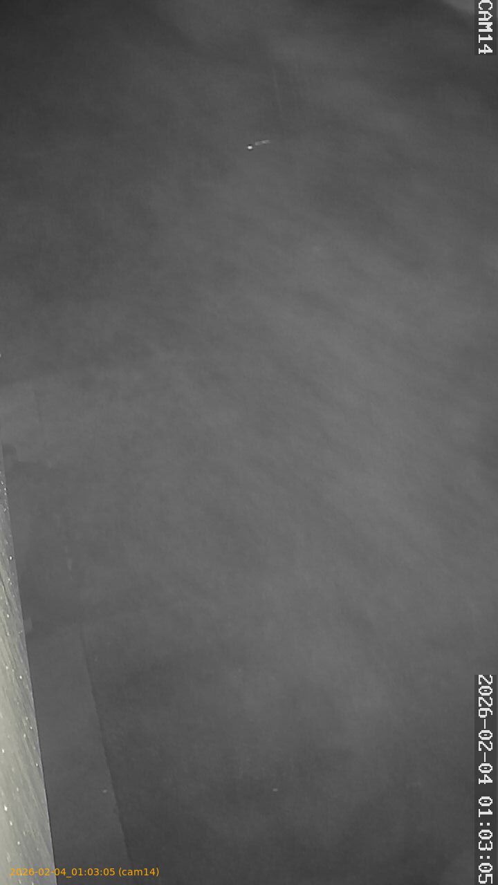 thumbnail_20260204010305