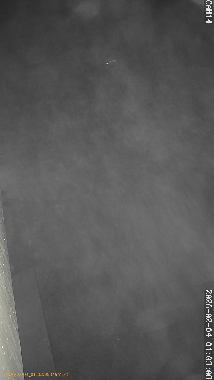 thumbnail_20260204010308