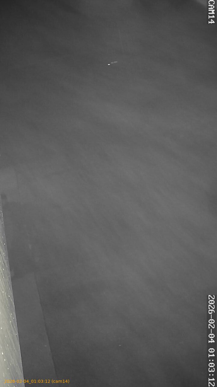 thumbnail_20260204010312