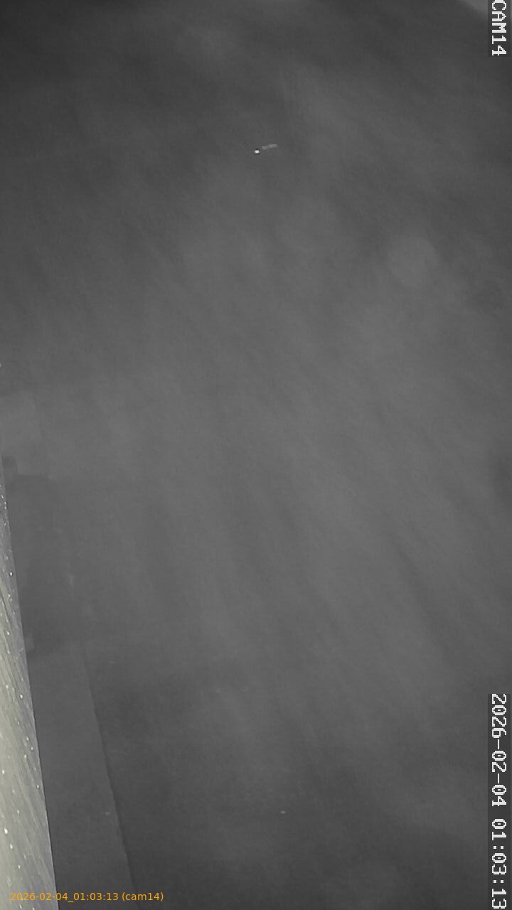 thumbnail_20260204010313