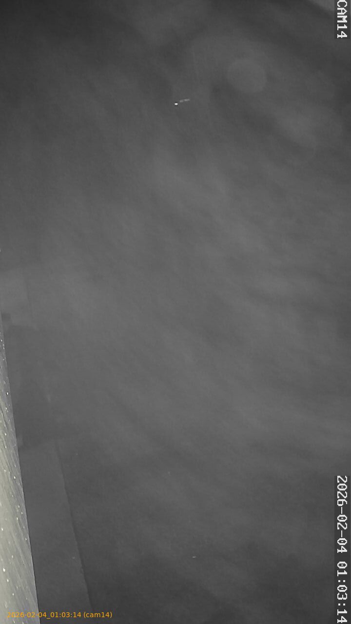 thumbnail_20260204010314