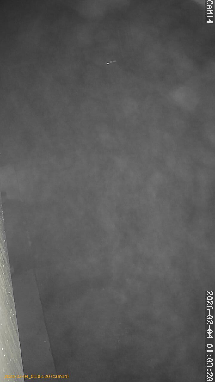 thumbnail_20260204010320