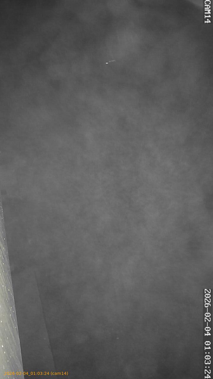 thumbnail_20260204010324