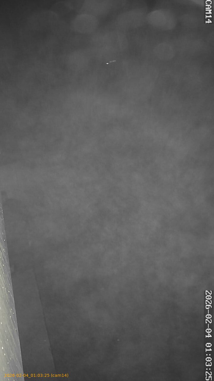 thumbnail_20260204010325