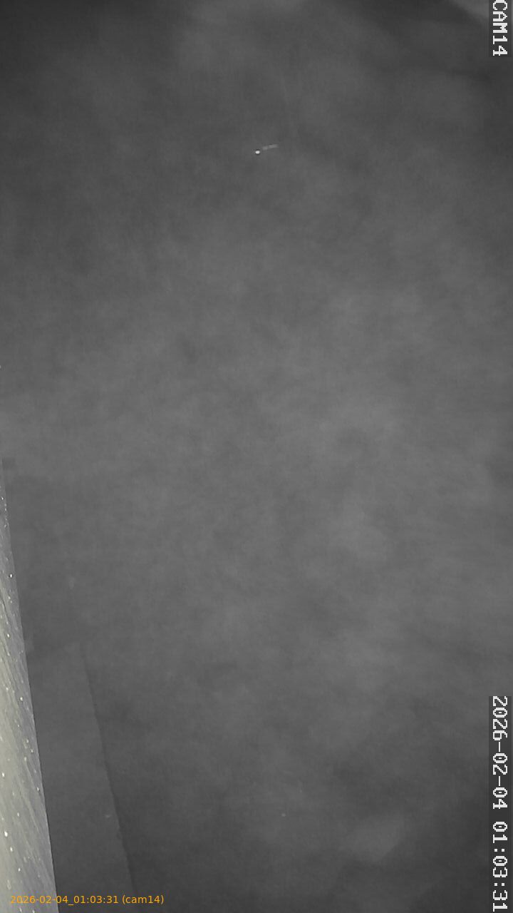 thumbnail_20260204010331