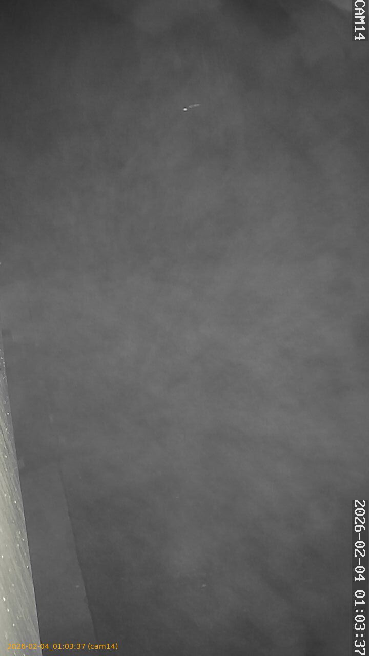 thumbnail_20260204010337