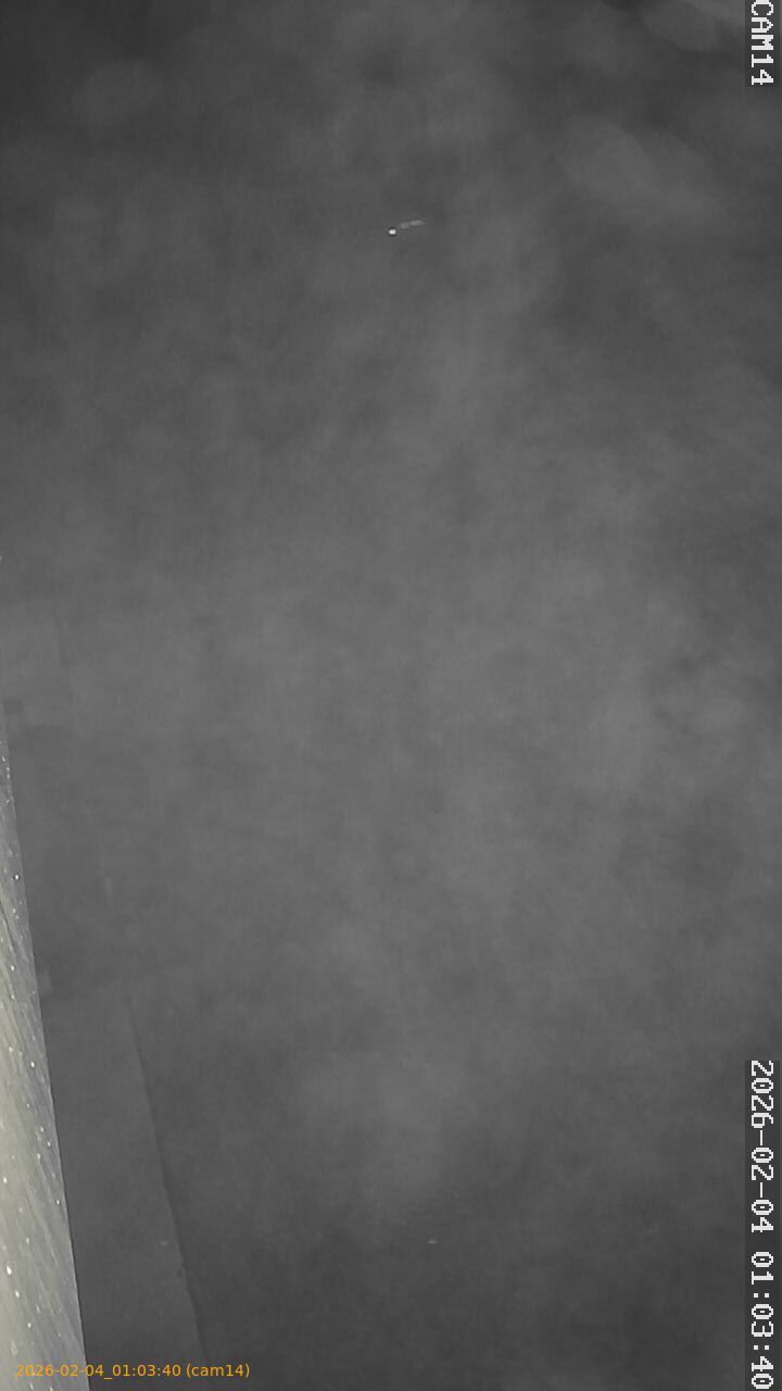 thumbnail_20260204010340