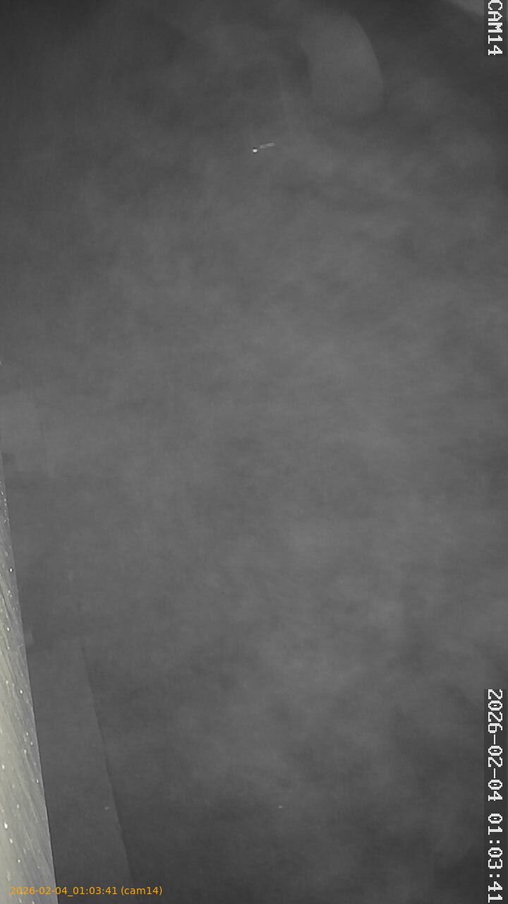 thumbnail_20260204010341