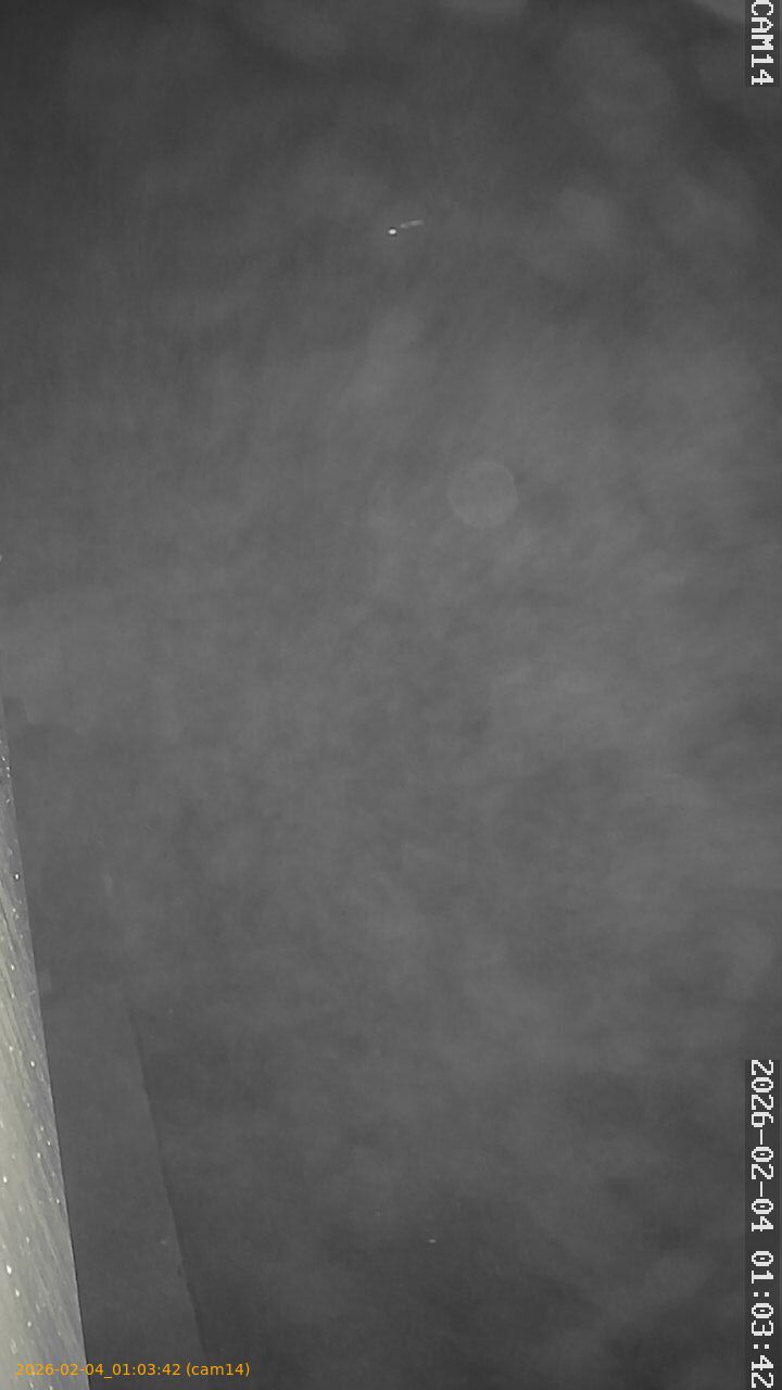 thumbnail_20260204010342