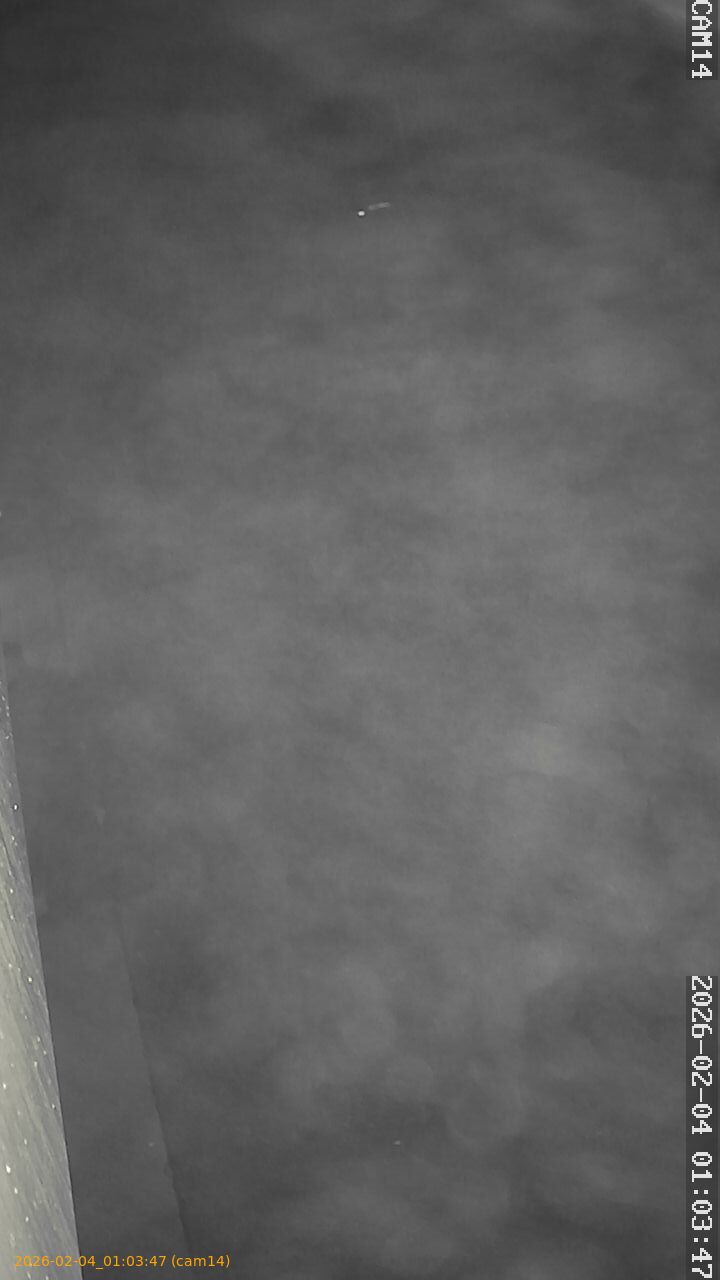 thumbnail_20260204010347