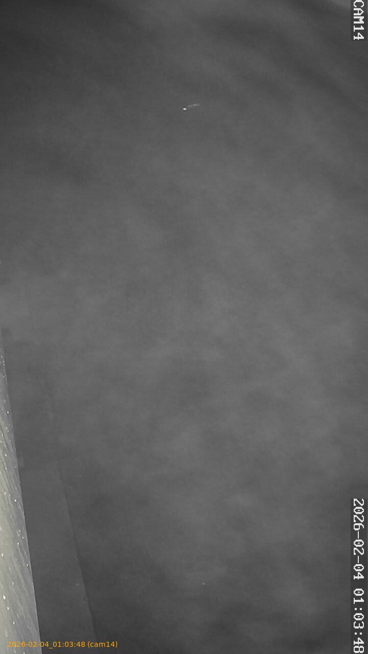 thumbnail_20260204010348