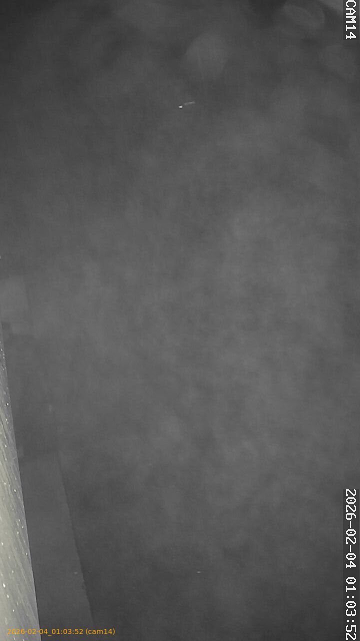 thumbnail_20260204010352