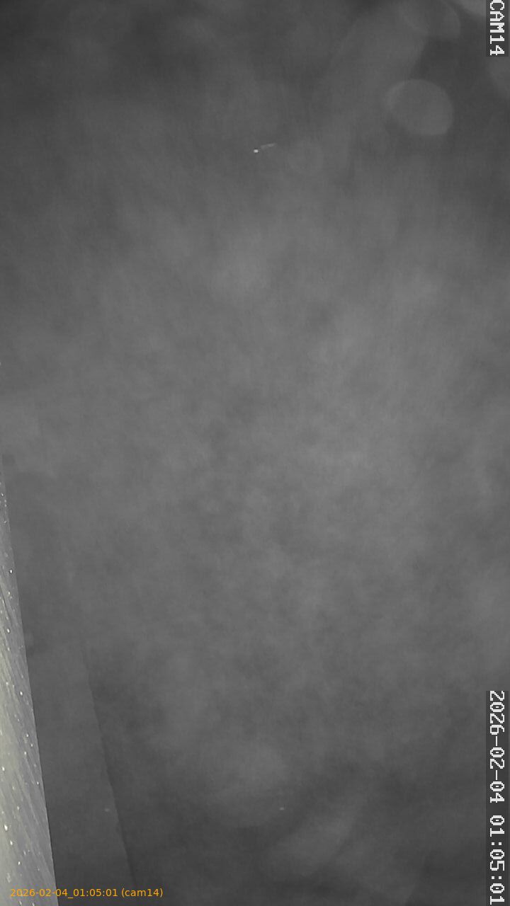 thumbnail_20260204010501