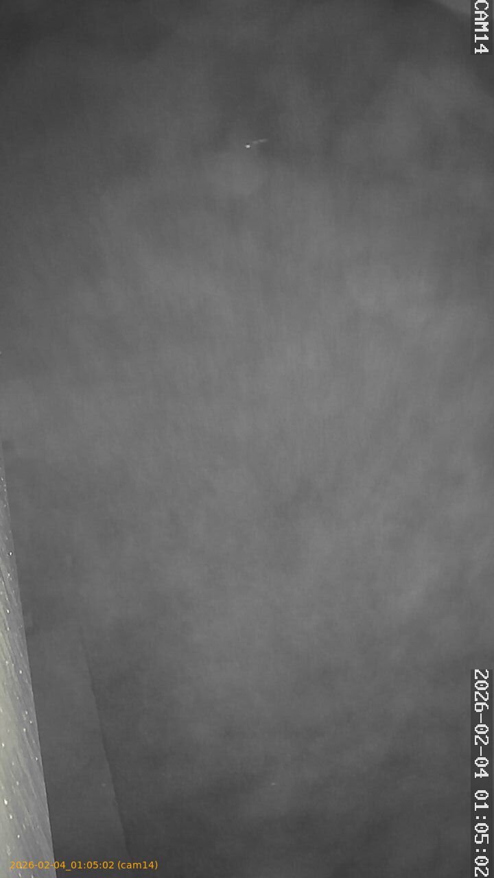 thumbnail_20260204010502