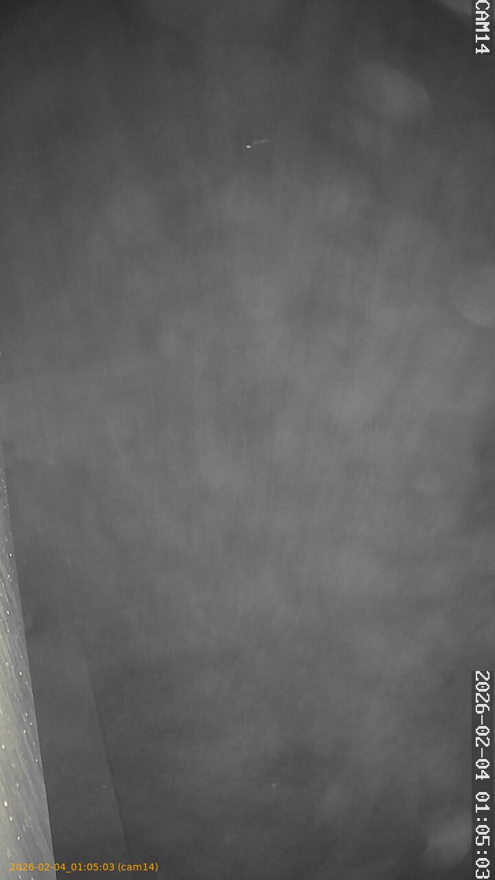 thumbnail_20260204010503